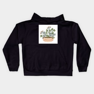 Coriander Kids Hoodie